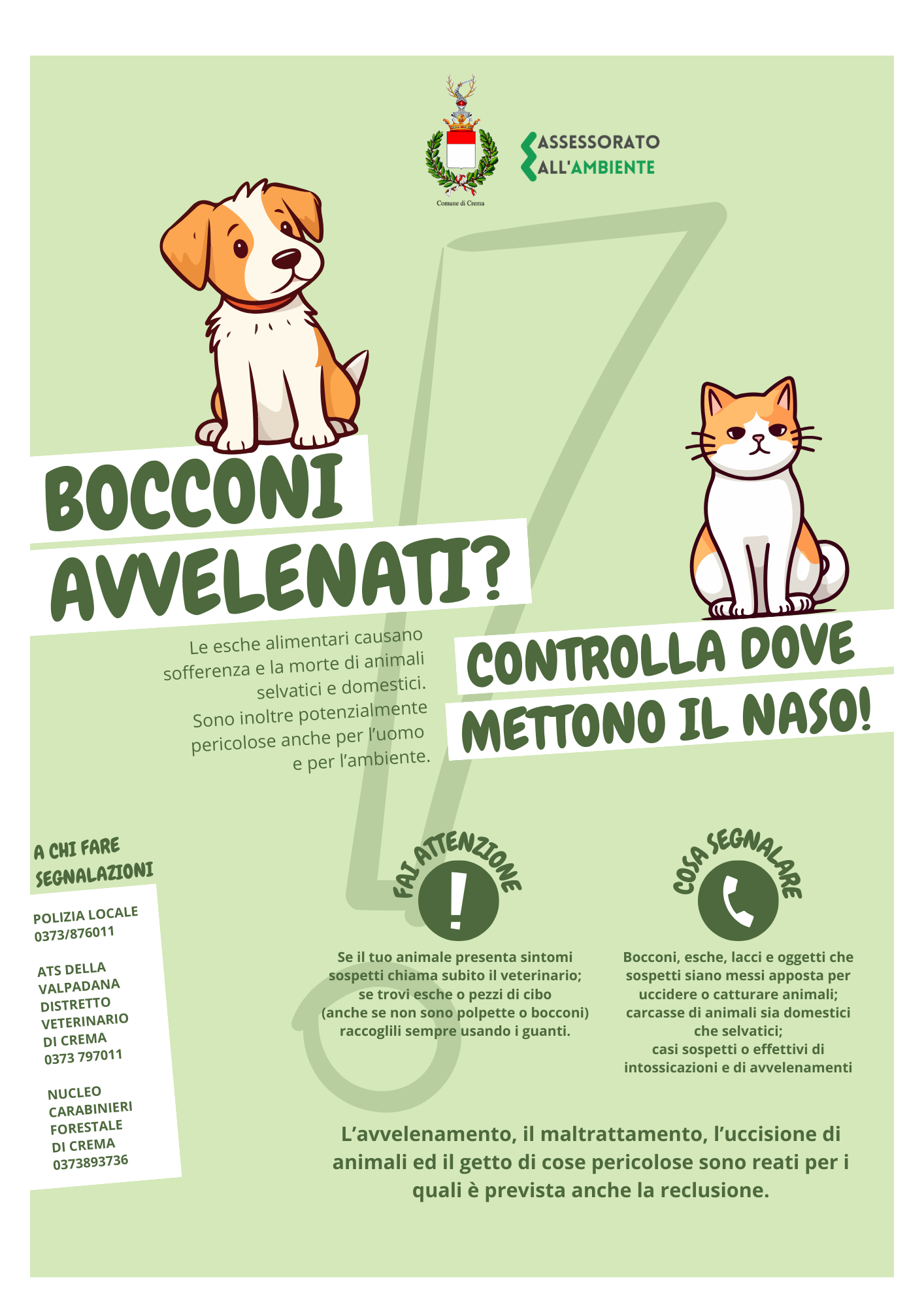 Lotta ai bocconi avvelenati, al via la nuova campagna di sensibilizzazione